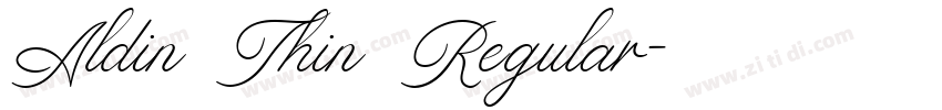Aldin Thin Regular字体转换